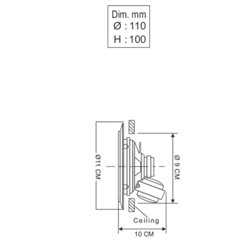 CS300T P.A Ceiling Speakers